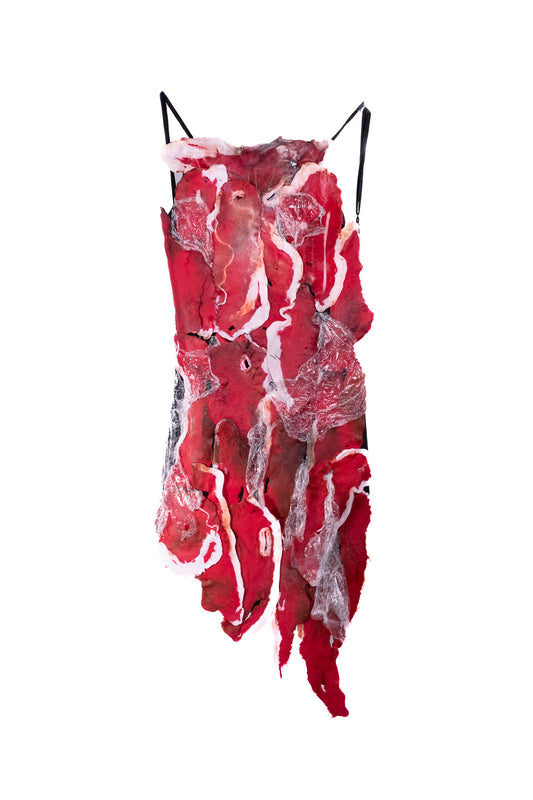 COSTUME - Robe "Meat" inpiration Lady Gaga