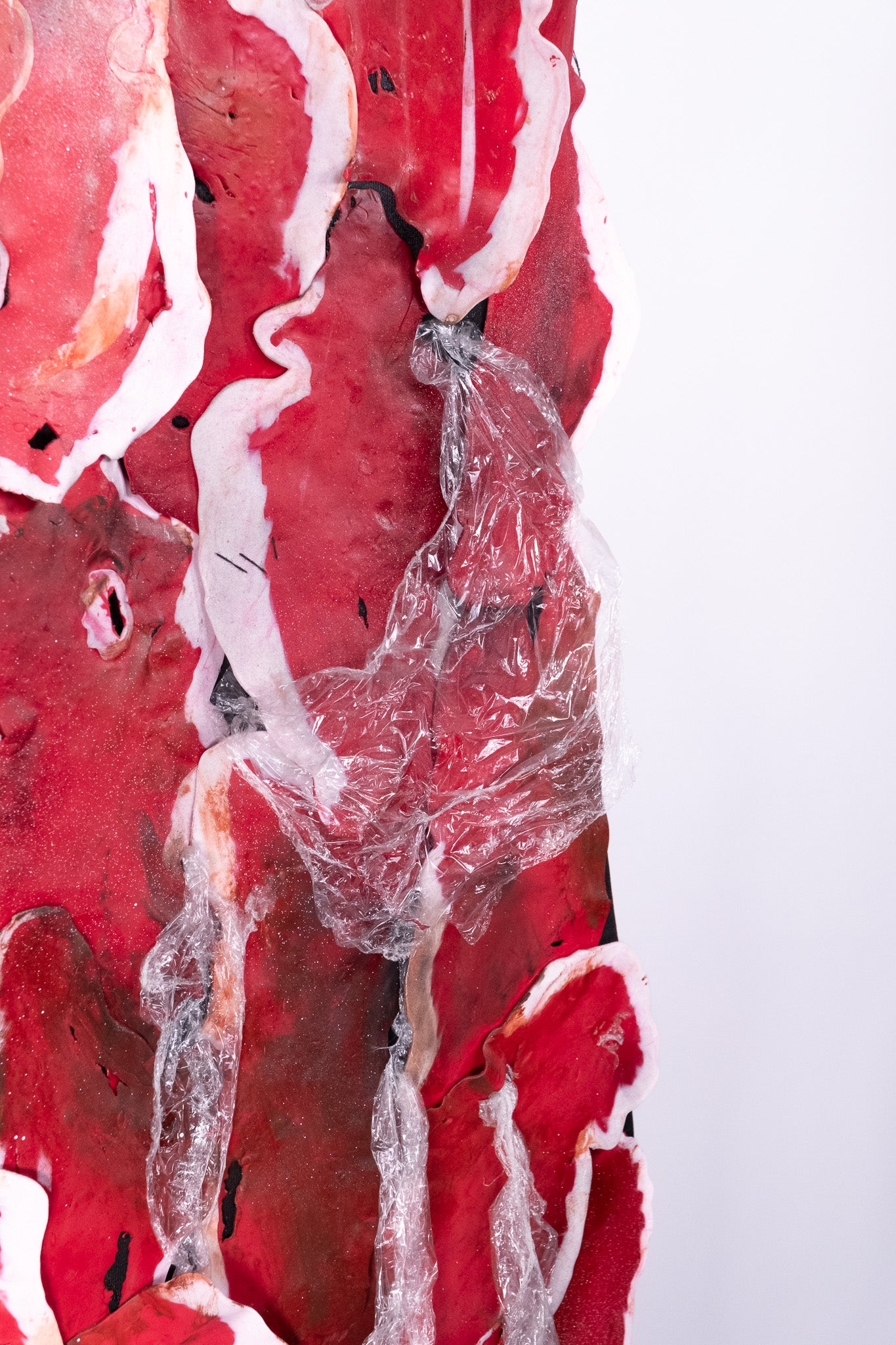 COSTUME - Robe "Meat" inpiration Lady Gaga