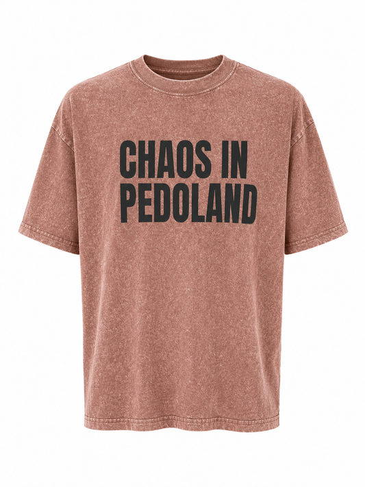 T-Shirt 'Chaos in pedoland'